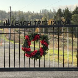 Leach Tree Farms