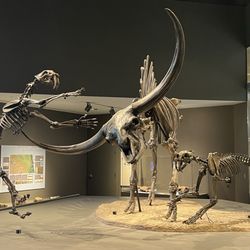 North Dakota Heritage Center & State Museum