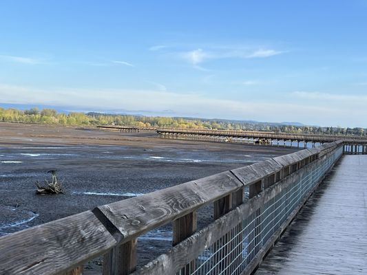Billy Frank Jr. Nisqually National Wildlife Refuge by null