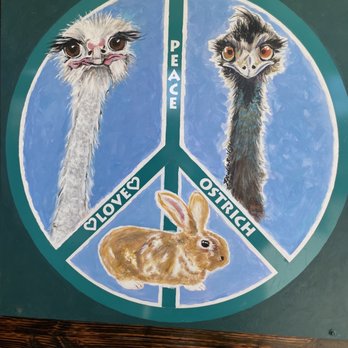 Ostrichland USA - Attraction Farms Near Me - Solvang, California Ostrichland USA - Attraction Farms Near Me - Solvang, California