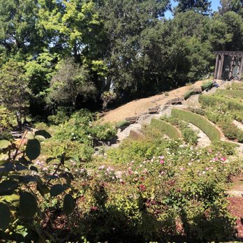 The Berkeley Rose Garden - Beautiful view of the Rose Garden in summer - Botanical Gardens Near Me - Berkeley, California