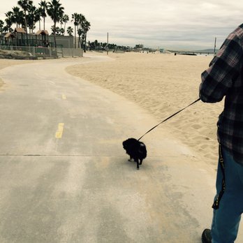 Venice Statepark - Fluff butt wanting to run free! - Beaches Near Me - Venice, California Venice Statepark - Fluff butt wanting to run free! - Beaches Near Me - Venice, California