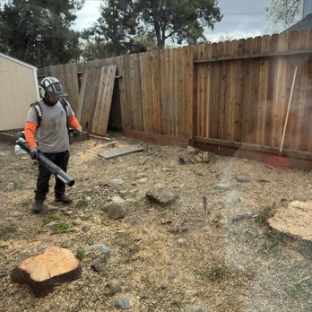 Golden Roots Tree Care - Tree Services Near Me - Sacramento, California Golden Roots Tree Care - Tree Services Near Me - Sacramento, California