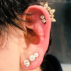 Bulldog Lifestyles - Jewelry upgraded