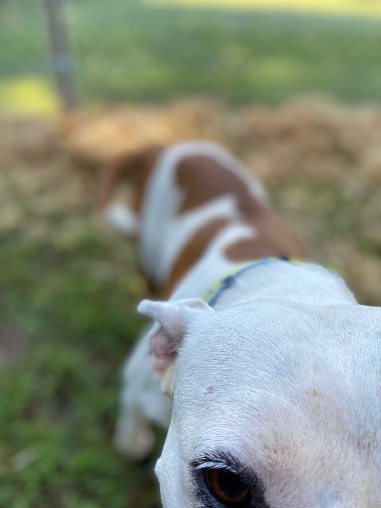 Off The Chain USA - social services organization in Braselton, GA