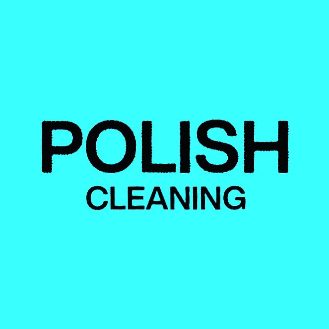 POLISH CLEANING CO Updated April 2024 New York, New York Home Cleaning Phone Number Yelp