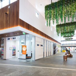 Salon Express Orion Springfield Central