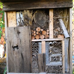 615 Green Community Garden