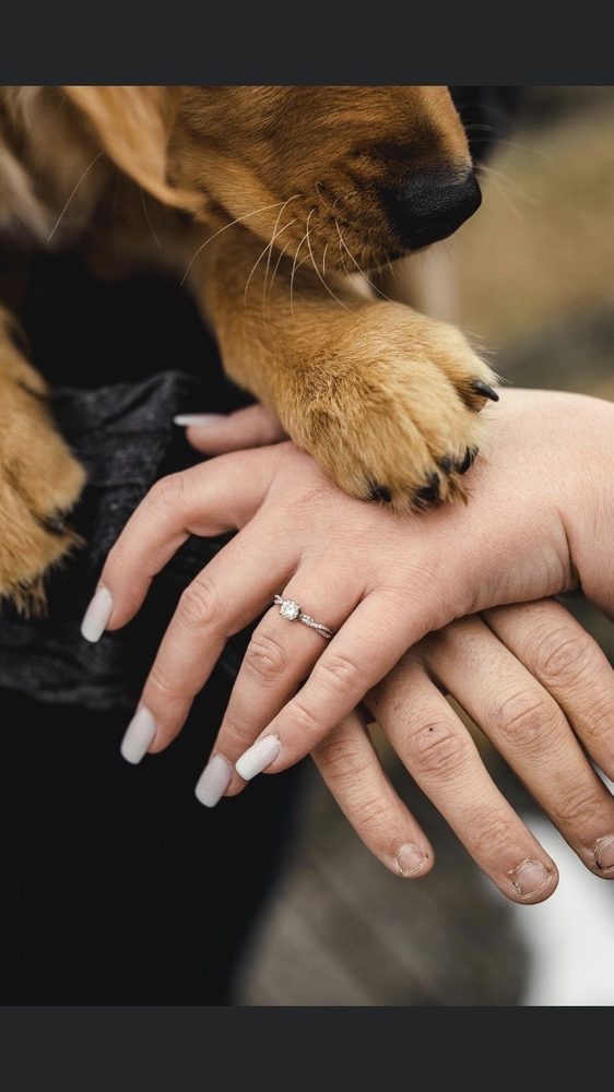 SURI NAILS Updated September 2024 66 Photos & 29 Reviews 115