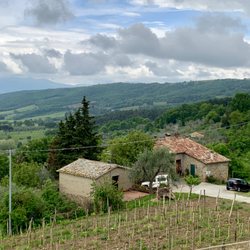 Tornesi - More views