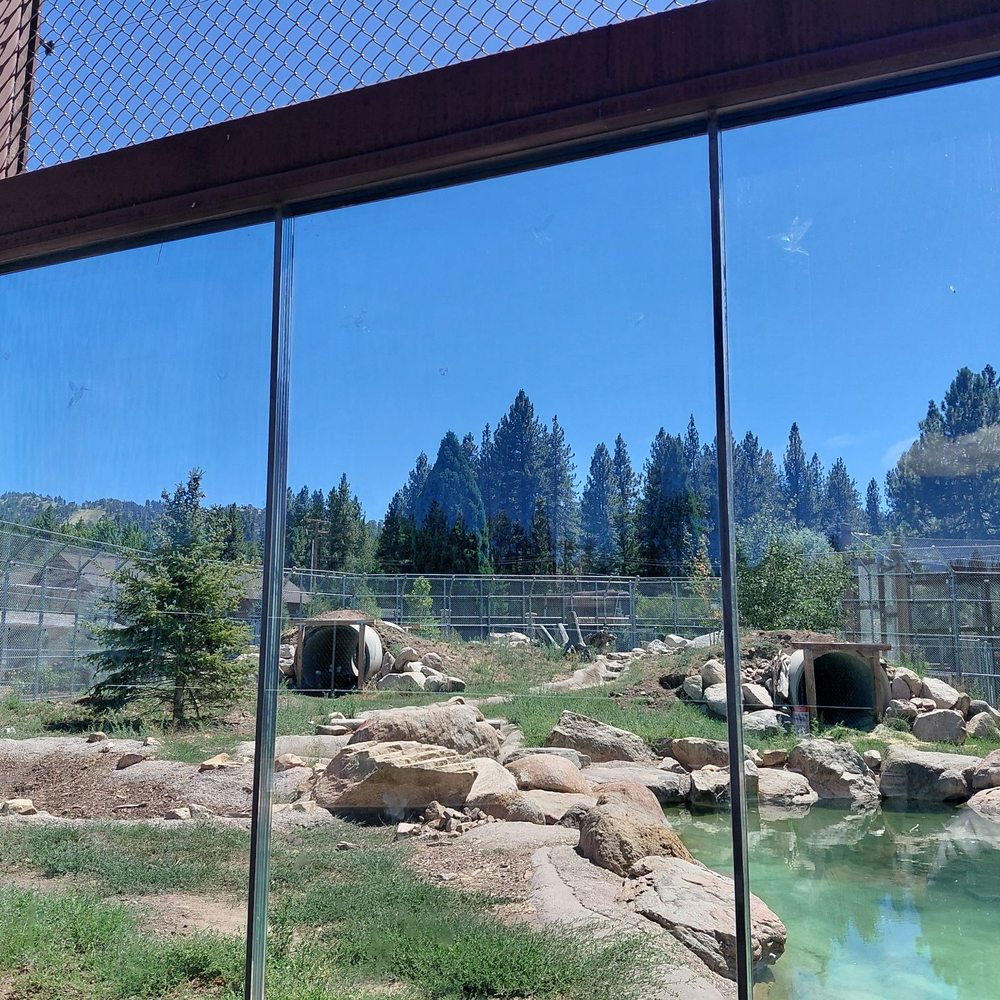 Big Bear Alpine Zoo - Zoos Near Me - Big Bear Lake, California Big Bear Alpine Zoo - Zoos Near Me - Big Bear Lake, California