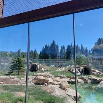 Big Bear Alpine Zoo - Zoos Near Me - Big Bear Lake, California Big Bear Alpine Zoo - Zoos Near Me - Big Bear Lake, California