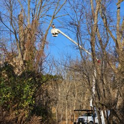 High Performance Tree Service - Difficult and dangerous job