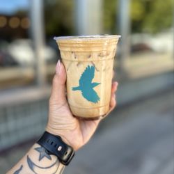 Black Oak Coffee Roasters