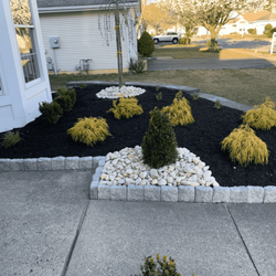 Simple Landscaping