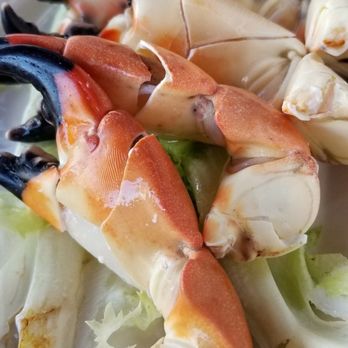 CJ's Crab Shack - Stone crab claws! - Seafood Near Me - Miami Beach, Florida CJ's Crab Shack - Stone crab claws! - Seafood Near Me - Miami Beach, Florida