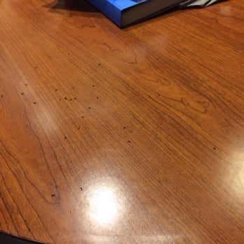Residence Inn Boston North Shore/Danvers - Ants all over the desk! - Hotels Near Me - Danvers, Massachusetts Residence Inn Boston North Shore/Danvers - Ants all over the desk! - Hotels Near Me - Danvers, Massachusetts