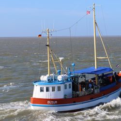 Fischereihafen - Hafenbecken II