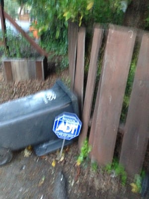 Marin Sanitary Service by null