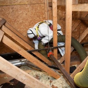 Jarrod's Pest Control - Animals sometimes defecate and urinate in attic areas. We remove and replace soiled insulation to keep your home sanitary. - Pest Control Near Me - Columbus, Georgia Jarrod's Pest Control - Animals sometimes defecate and urinate in attic areas. We remove and replace soiled insulation to keep your home sanitary. - Pest Control Near Me - Columbus, Georgia
