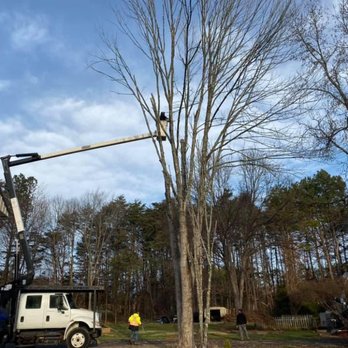 God's Way Tree Service - Tree Services Near Me - Greensboro, North Carolina God's Way Tree Service - Tree Services Near Me - Greensboro, North Carolina