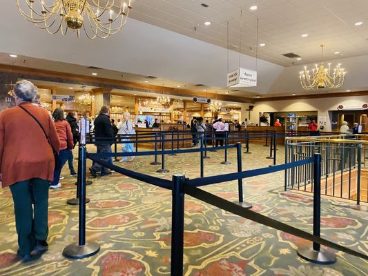 Shady Maple Smorgasbord by null