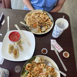 Fuji Hibachi Express - Hibachi chicken, shrimp lo mein, pan fried dumplings