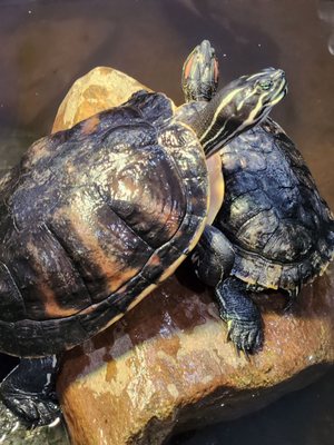 FLOATING SEA AQUATICS - Updated November 2025 - 290 Photos & 63 Reviews