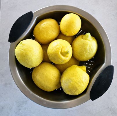 Tucson KOA Resort by null