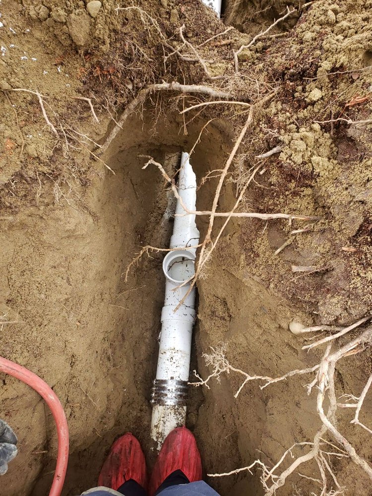 Slide of The Pipe King