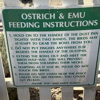Ostrichland USA - Attraction Farms Near Me - Solvang, California Ostrichland USA - Attraction Farms Near Me - Solvang, California