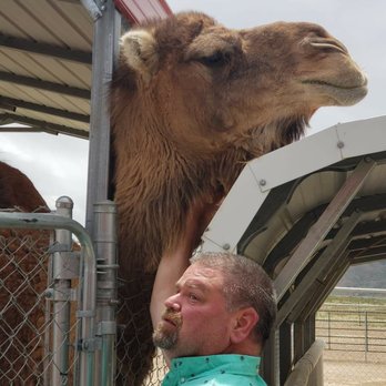 Scipio Petting Zoo - Petting Zoos Near Me - Scipio, Utah Scipio Petting Zoo - Petting Zoos Near Me - Scipio, Utah
