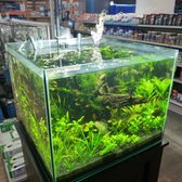 The Ocean Floor 89 Photos 97 Reviews Pet Stores 2347 W