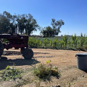 Keema's Pumpkin Farm - CSA Near Me - Elk Grove, California