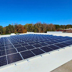 Renew Solar Solutions