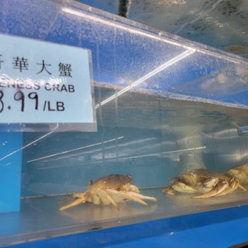 iFresh Supermarket - Crabs - International Grocery Near Me - North Miami Beach, Florida iFresh Supermarket - Crabs - International Grocery Near Me - North Miami Beach, Florida