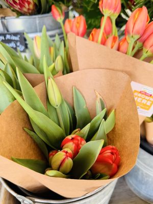 Earthbound Farm Stand by null