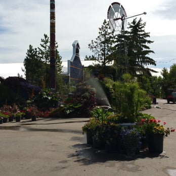 Saskatoon Farm - More plants and flowers - Farmers Market Near Me - De Winton, Alberta