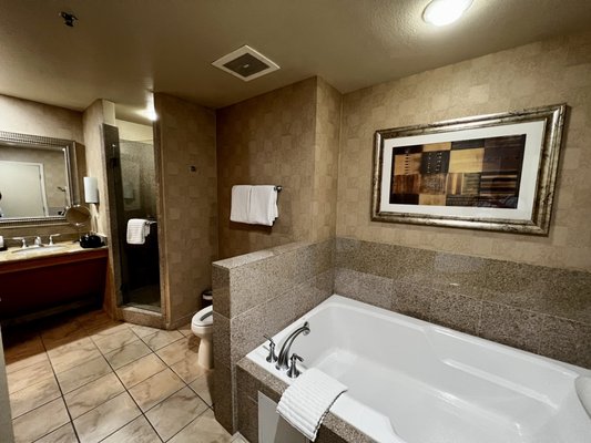 The Platinum Hotel & Spa by null