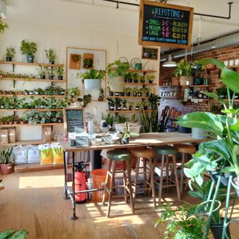 B Willow - Nurseries & Gardening Near Me - Baltimore, Maryland