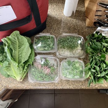 Cluck It Farm - CSA half share (romaine lettuce, pea shoots, radish microgreens, broccoli microgreens, and spinach) - 1/14/2021 - Farmers Market Near Me - Las Vegas, Nevada Cluck It Farm - CSA half share (romaine lettuce, pea shoots, radish microgreens, broccoli microgreens, and spinach) - 1/14/2021 - Farmers Market Near Me - Las Vegas, Nevada