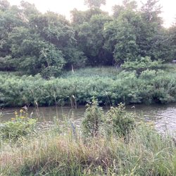 Sharp's Outfitters - View of the river