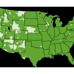Cricket Wireless Authorized Retailer
