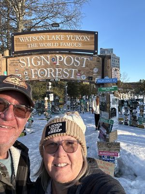 Sign Post Forest by null