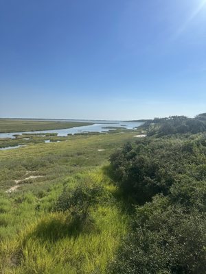 Aransas National Wildlife Refuge by null