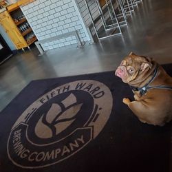 Fifth Ward Brewing