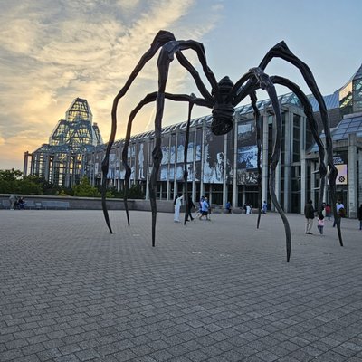 National Gallery of Canada by null