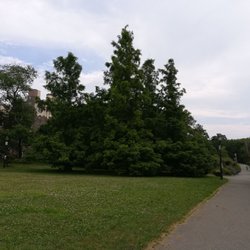 Owl's Head Park