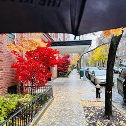 Outside Outside