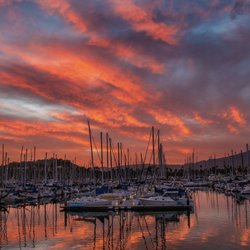 Stearns Wharf - Loving being back in Santa Barbara. The pier by Stearns Wharf June 2026.